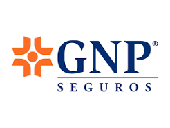 GNP